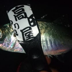 感染防止のため間を広く取って釣りしましょう