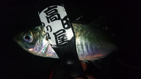 感染防止のため間を広く取って釣りしましょう