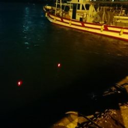 メバル 浮き釣り