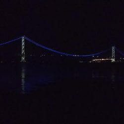 しぶしぶメバル