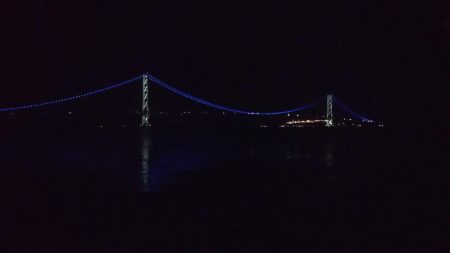 しぶしぶメバル