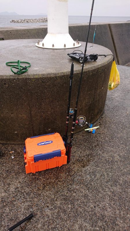 ショアジギング