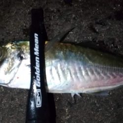 フロートアジング　36cm