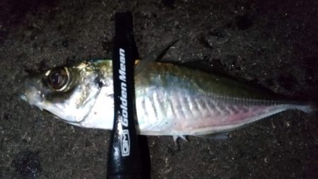 フロートアジング　36cm