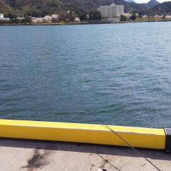 舞鶴港で朝8時から10時までの釣行。