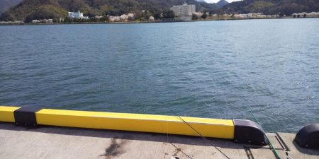 舞鶴港で朝8時から10時までの釣行。