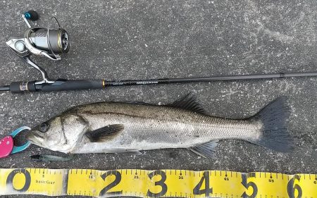 短時間デイゲーム夕練調査！