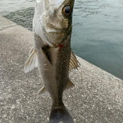 日没迄の短時間夕練！