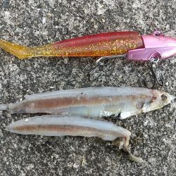 VJで連発ヒットの夕練!