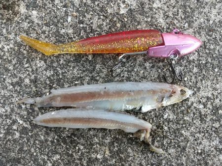 VJで連発ヒットの夕練!