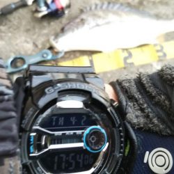 ぶら河川調査!!