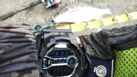 ぶら河川調査!!