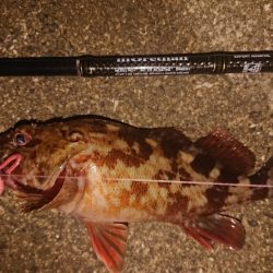 久々のナイトガシリング♪