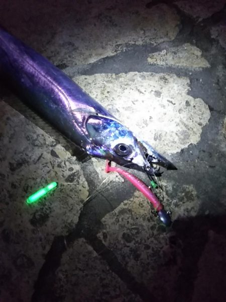 風があるも家族連れでにぎわい