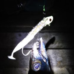 渋いが……なんとか