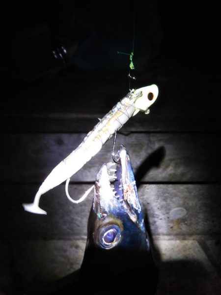 渋いが……なんとか