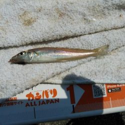 釣友が東二見に集まりました