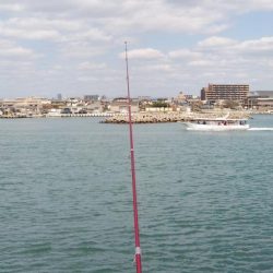 強風の東二見釣行