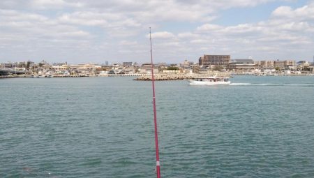 強風の東二見釣行