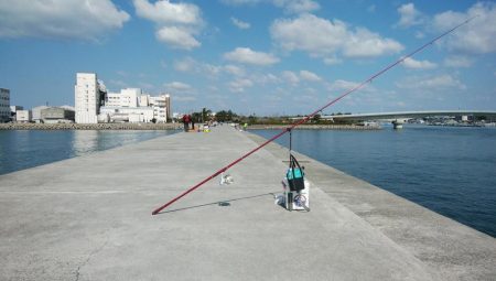 海水温低下しキスの活性下がる