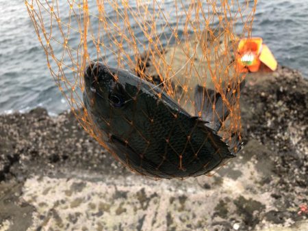 釣り人ほぼ1人　午後15から1730分まで…