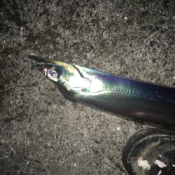 短時間の千田調査