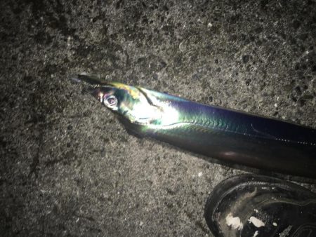 短時間の千田調査