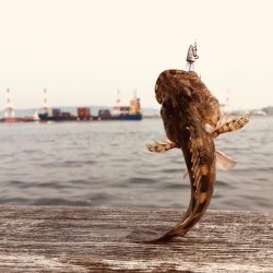 メバリング時々ガシリング