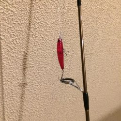 淀川のブラックバス