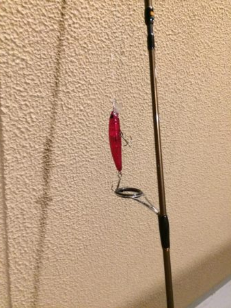 淀川のブラックバス