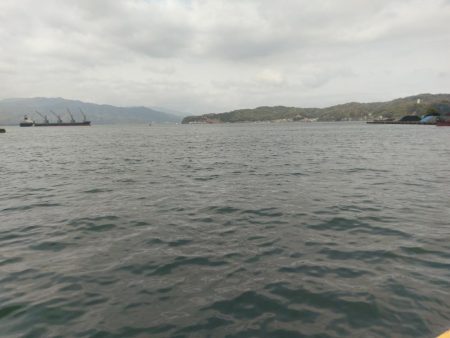 コウイカエギング