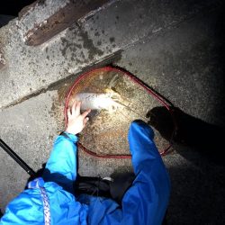 GW前にして今年度釣り納め