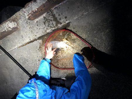 GW前にして今年度釣り納め