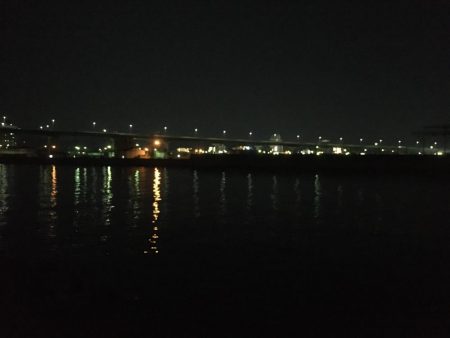 大潮だったのにorz