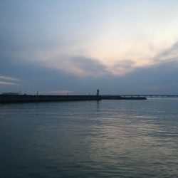 ぼちぼちでした