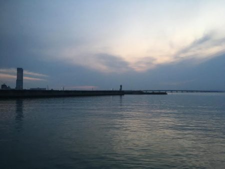 ぼちぼちでした