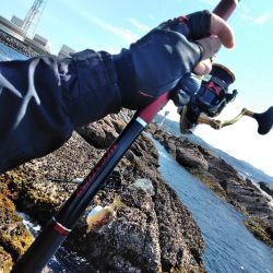 フカセが一番・・面白いです・・釣れない四月・・