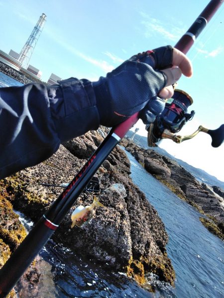 フカセが一番・・面白いです・・釣れない四月・・