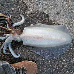 なんとか一杯！