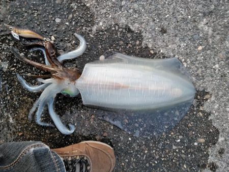 なんとか一杯！