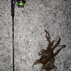 久しぶりの虫ジグ