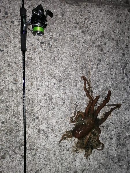 久しぶりの虫ジグ