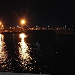 雨後の海洋調査