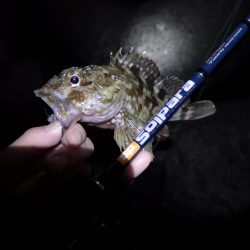 味噌汁リベンジ