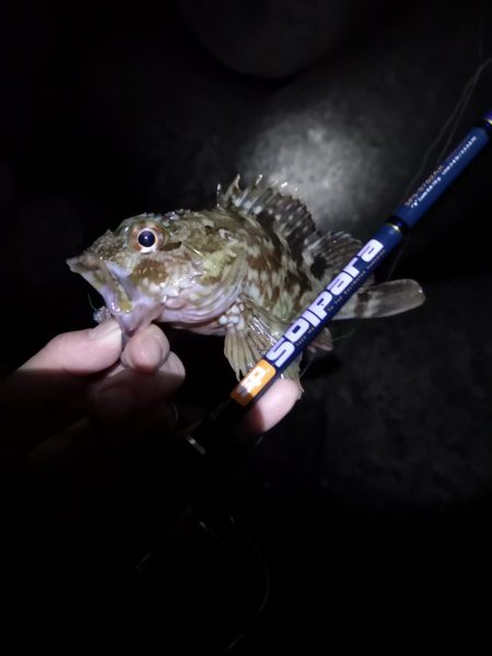 味噌汁リベンジ