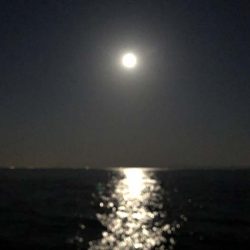 月は綺麗でしたが・・