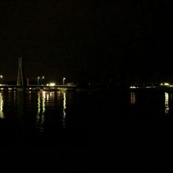 ソゲが引っかかってました