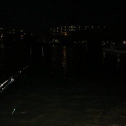 令和2年湾奧シーバス第二弾