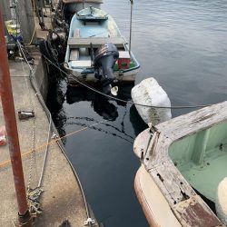 アイナメ47㎝!ビール瓶登場