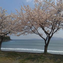 ライトショアジギング